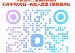 指定教程“财神十三张辅助神器”（详细透视教程）-哔哩哔哩